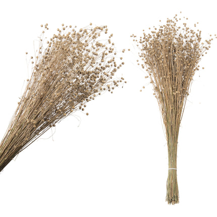 Fluffy grass dried 63 cm ( bosje)