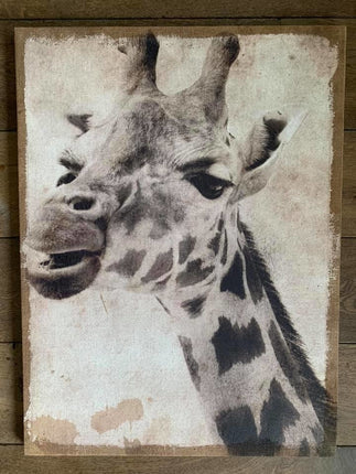 Giraffe op canvas