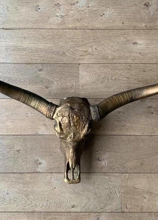 Longhoorn Skull - Dierenschedel - Buffelschedel - Schedel voor aan de muur - Dierenhoofd - 1 Meter | Milo