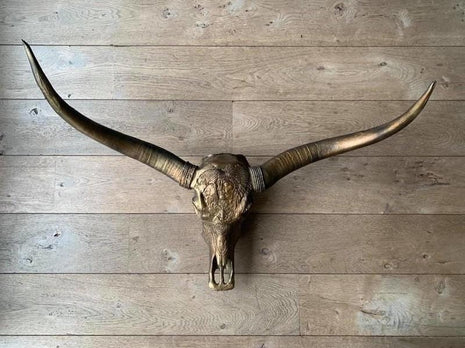 Longhoorn Skull - Dierenschedel - Buffelschedel - Schedel voor aan de muur - Dierenhoofd - 1 Meter | Milo
