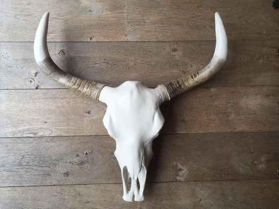 Skull effen 74 x 80 cm
