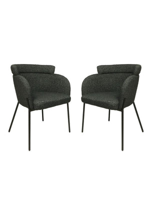 Set van 2 stoelen