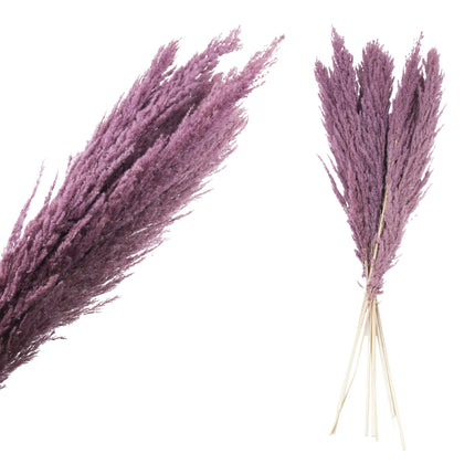 Fluffy grass dried 111 cm per stuk