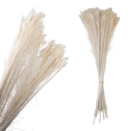 Pauwenveren per stuk