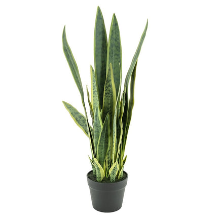 Fake plant