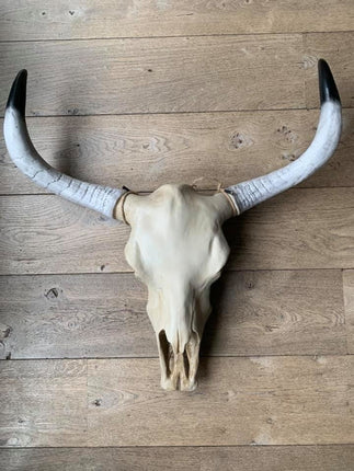 Skull effen 74 x 80 cm bruine kop
