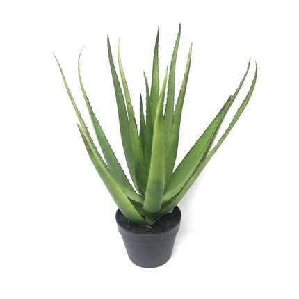 Fake plant Aloe VEra