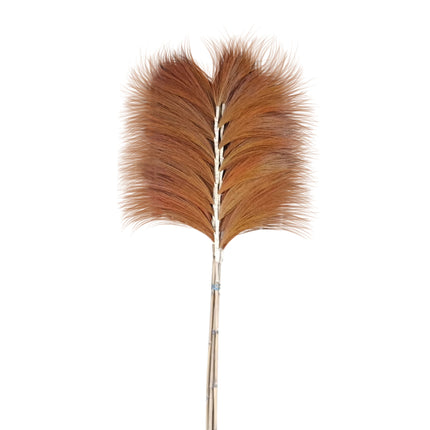 Fluffy grass dried 210 cm