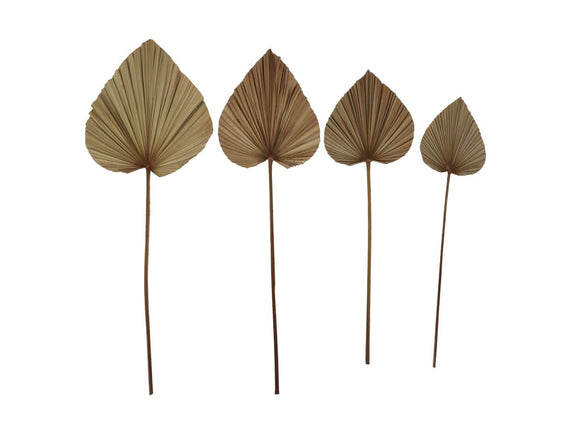 Blad set van 4