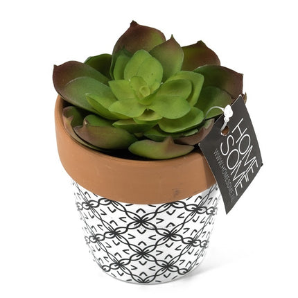 Vetplant