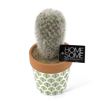 Vetplant