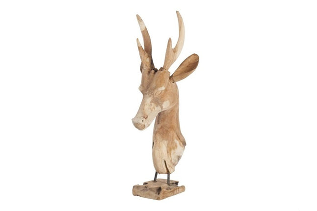 Teak head rusa