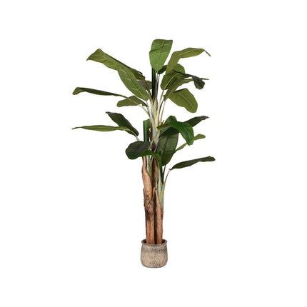 LABEL51 Musa - Groen - Kunststof - 180 cm