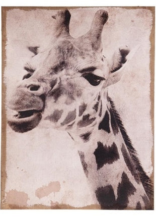 Giraffe op canvas