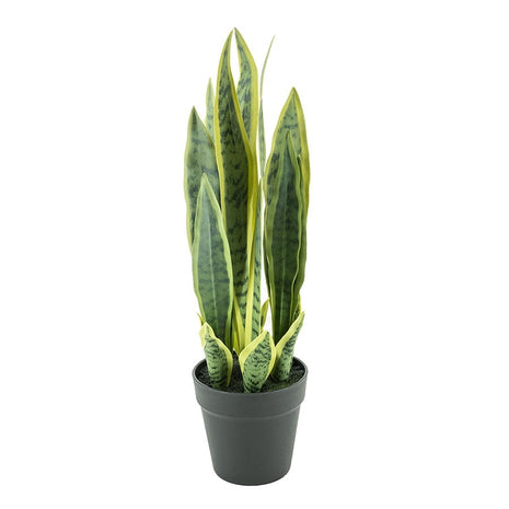 Fake plant