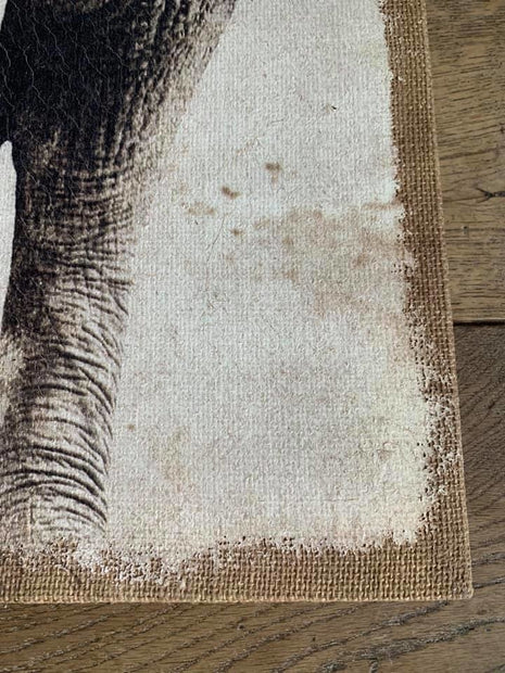 Giraffe  op canvas