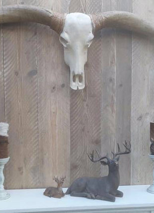 Longhoorn bruine hoorns zwarte punten