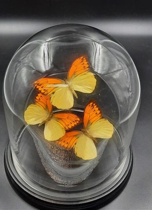 Stolp met vlinders