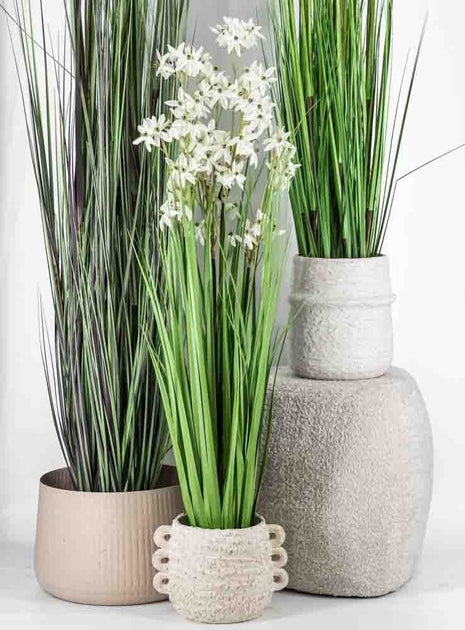 Fake plant