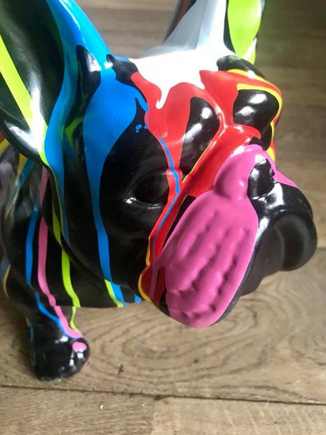 French Bull black