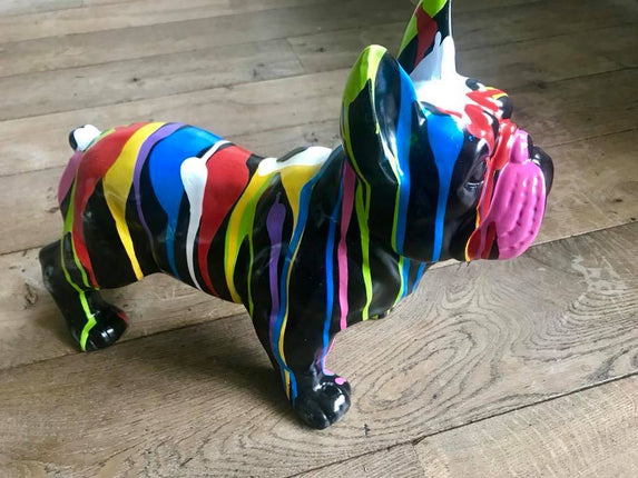French Bull black