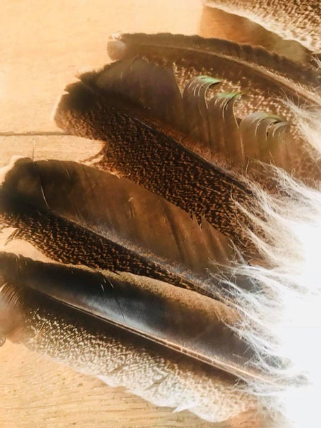 Indianentooi S