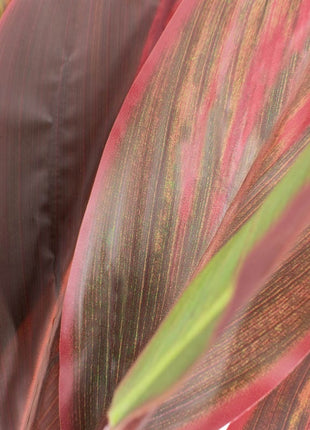 Kunstplant rode cycas 120cm