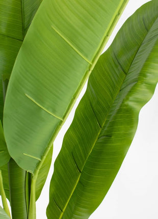 Kunstplant bananenboom 180cm