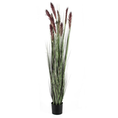 Fake plant