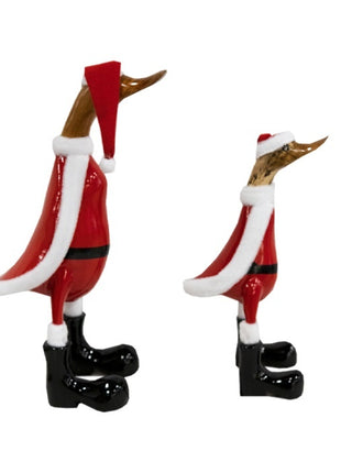 Kerst eend S+M