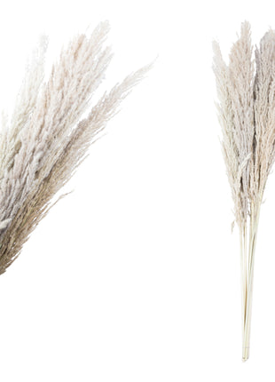 Fluffy grass dried 111 cm stuks