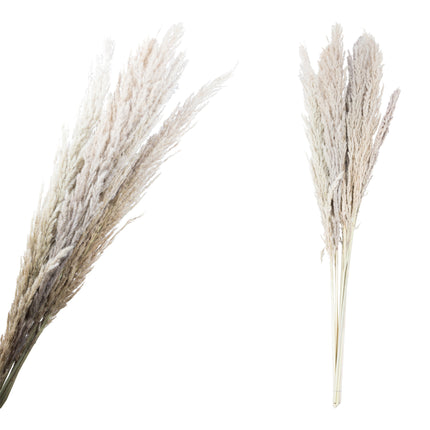 Fluffy grass dried 111 cm stuks