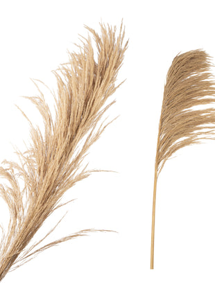 Fluffy grass dried 140cm ( 1 stuk)