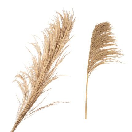 Fluffy grass dried 140cm ( 1 stuk)