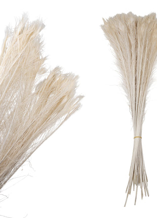 Pauwenveren per stuk