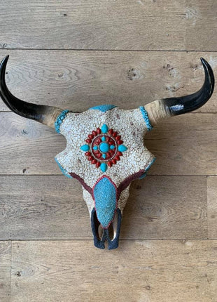 Biesbok schedel - Copy