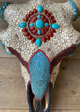 Biesbok schedel - Copy