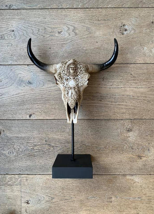 Biesbok schedel