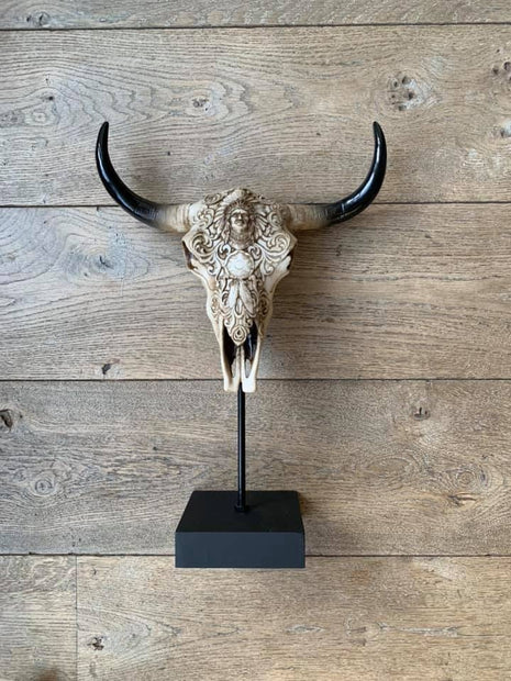 Biesbok schedel