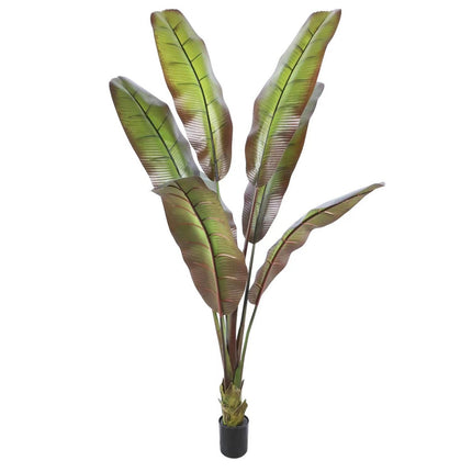 Kunstplant Japanse bananenboom 190cm