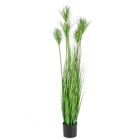 Fake plant