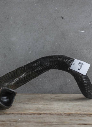 Losse hoorn kunst 37 cm