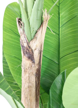 Kunstplant bananenboom 180cm