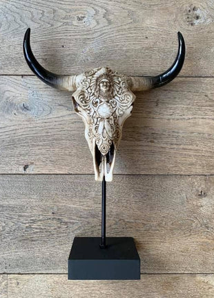 Biesbok schedel