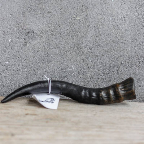 Losse hoorn kunst 15 cm