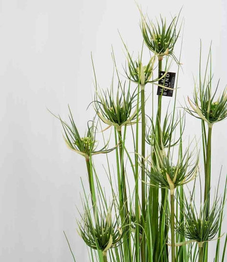 Fake plant