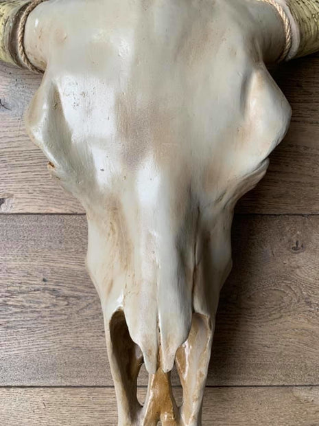 Skull effen 74 x 80 cm  bruine kop
