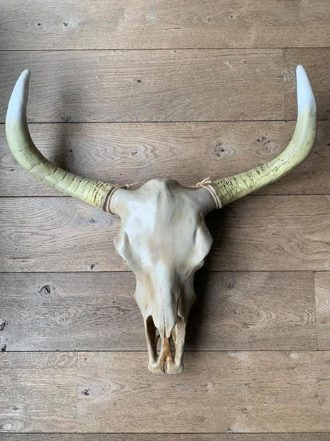 Skull effen 74 x 80 cm  bruine kop