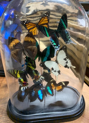 Stolp met vlinders