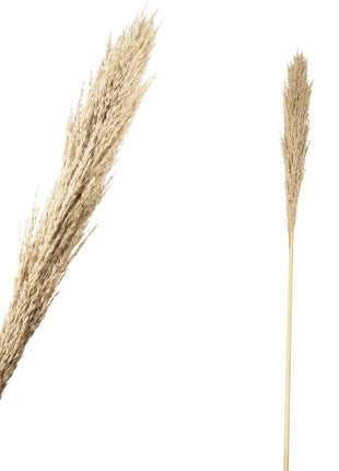 Fluffy grass dried 140cm ( 1 stuk)